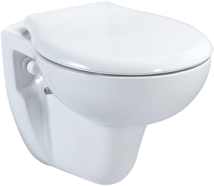 Wall Hanging Toilet Taharet Frame Element Actuator Plate Soft Close Lid Set