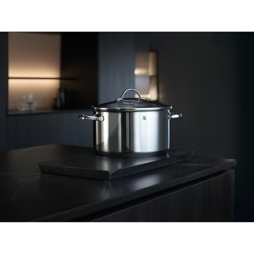 WMF Provence Plus Topfset Induktion 5-teilig, Kochtopf Set unbeschichtet mit Glasdeckel, für alle Herdarten geeignet, Induktions Töpfe Set, ohne Skalierung, Cromargan Edelstahl poliert