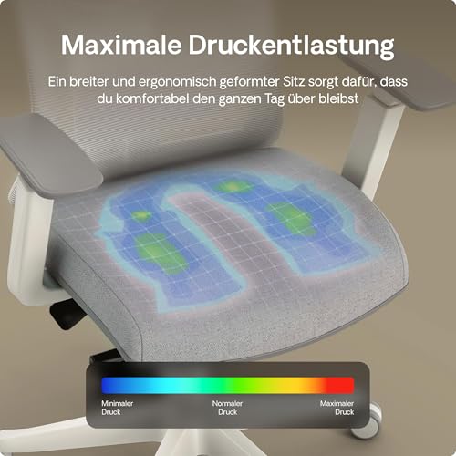 Desktronic SitPro Adjustable Ergonomic Office Chair, Desk Chair with Lumbar Support, Back-Friendly, Computer Chair, Height Adjustable & Back-Friendly, Wide Padding (Grey)