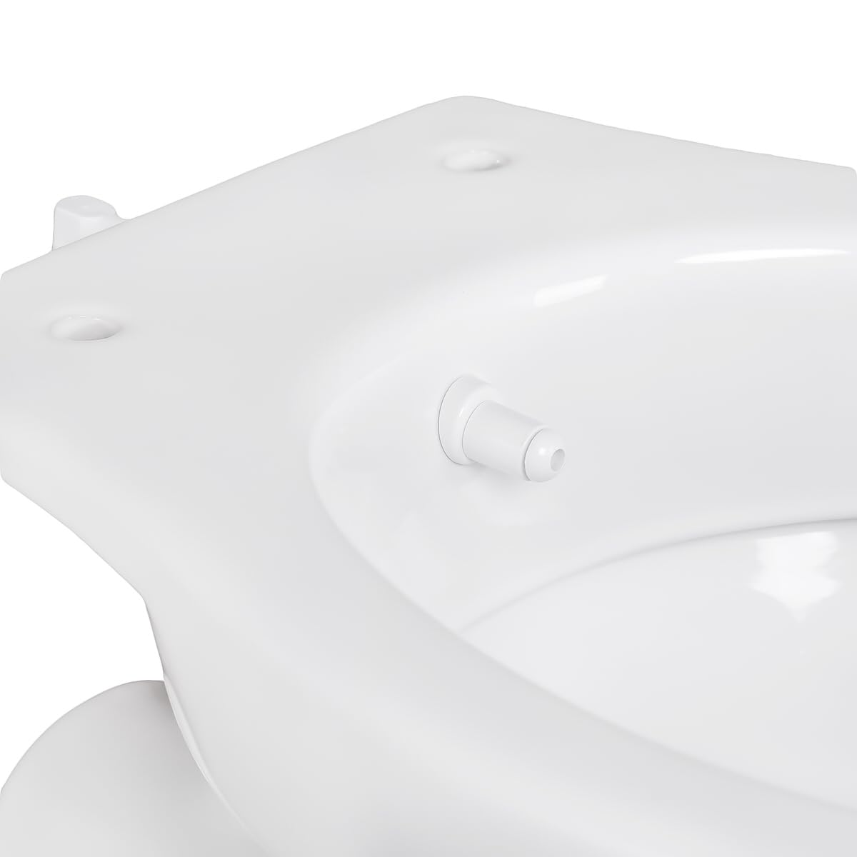 Belvit Dusch WC mit Bidet Funktion – Standtoilette mit Taharet, Hygienedusche, Spülkasten und Softclose WC-Deckel, waagerechter Abgang, Komplettset