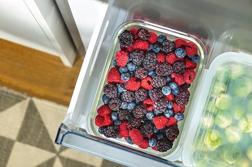 Gorenje N 619EAW4 Fridge-Freezer Combination, LED Display, 186 cm, 300 L, NoFrostPlus, Vegetable Compartment with Moisture Control, FastFreeze, White
