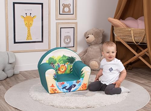 Delsit Kinder Sessel mit Schaumstofffüllung - Kindersessel Mädchen und Jungen Babysessel mit Abnehmbarem Bezug - Sessel für Kinder - Kindermöbel - 9 Monate bis 4 Jahre - DT8-17123