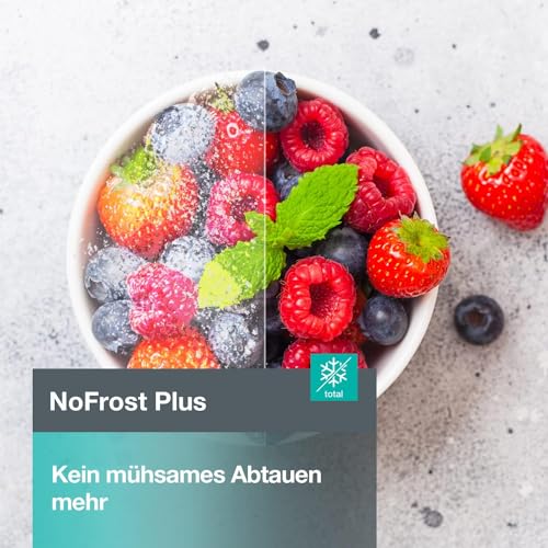 Gorenje N 619EAW4 Fridge-Freezer Combination, LED Display, 186 cm, 300 L, NoFrostPlus, Vegetable Compartment with Moisture Control, FastFreeze, White