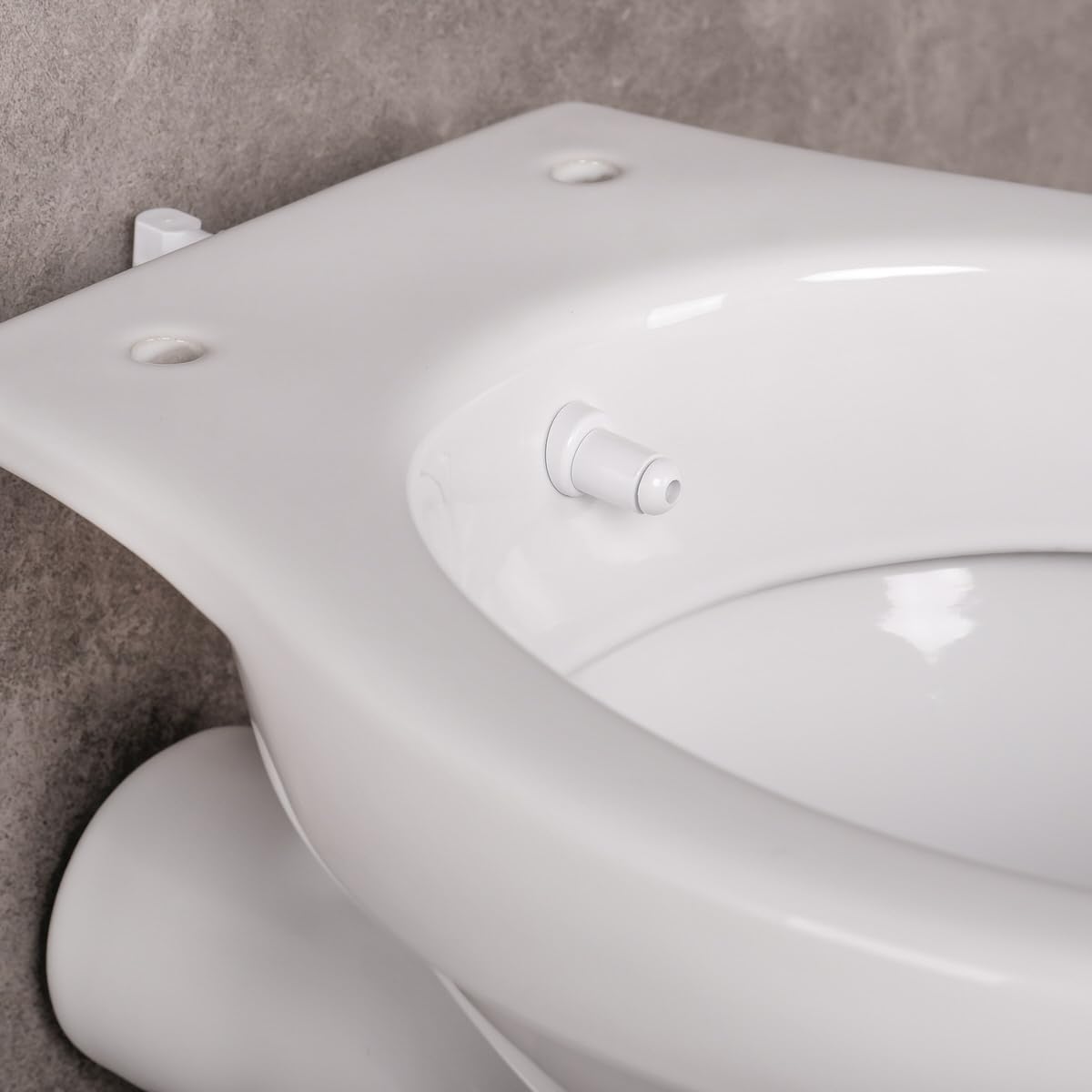 Belvit Dusch WC mit Bidet Funktion – Standtoilette mit Taharet, Hygienedusche, Spülkasten und Softclose WC-Deckel, waagerechter Abgang, Komplettset