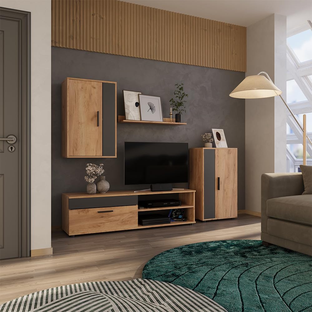 Vicco Berno TV Wall Unit Beige / Anthracite Set of 4