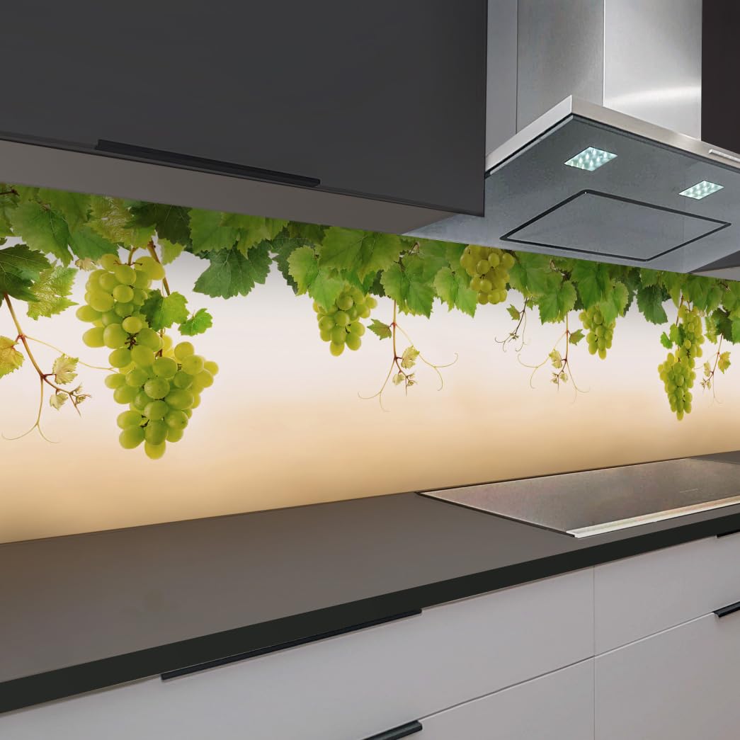 Rodnik Kitchen Splashback, Robust ABS Plastic Monolith Panel in Deluxe Quality, Direct Print, Choice of Motifs (Ice Cubes and Cherries)