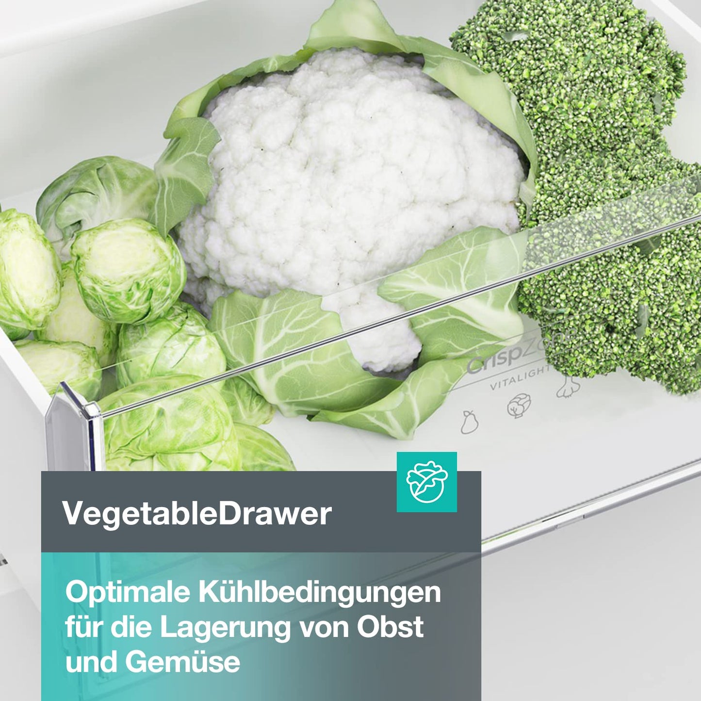 Gorenje N 619EAW4 Fridge-Freezer Combination, LED Display, 186 cm, 300 L, NoFrostPlus, Vegetable Compartment with Moisture Control, FastFreeze, White
