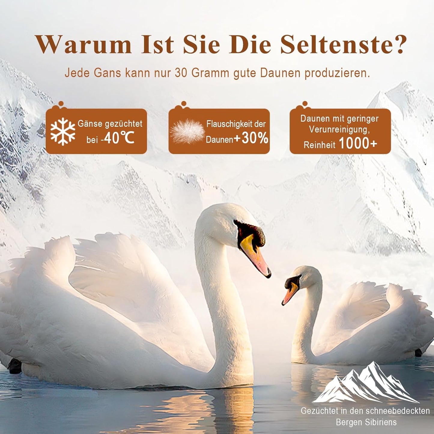 APSMILE Lightweight Down Duvet 155 x 220 cm, Thin Goose Down Duvet for Summer Duvet, Organic Cotton, 510 g, Cooling Duvet for Warm Weather/Hot Sleepers (155 x 220 cm, White)