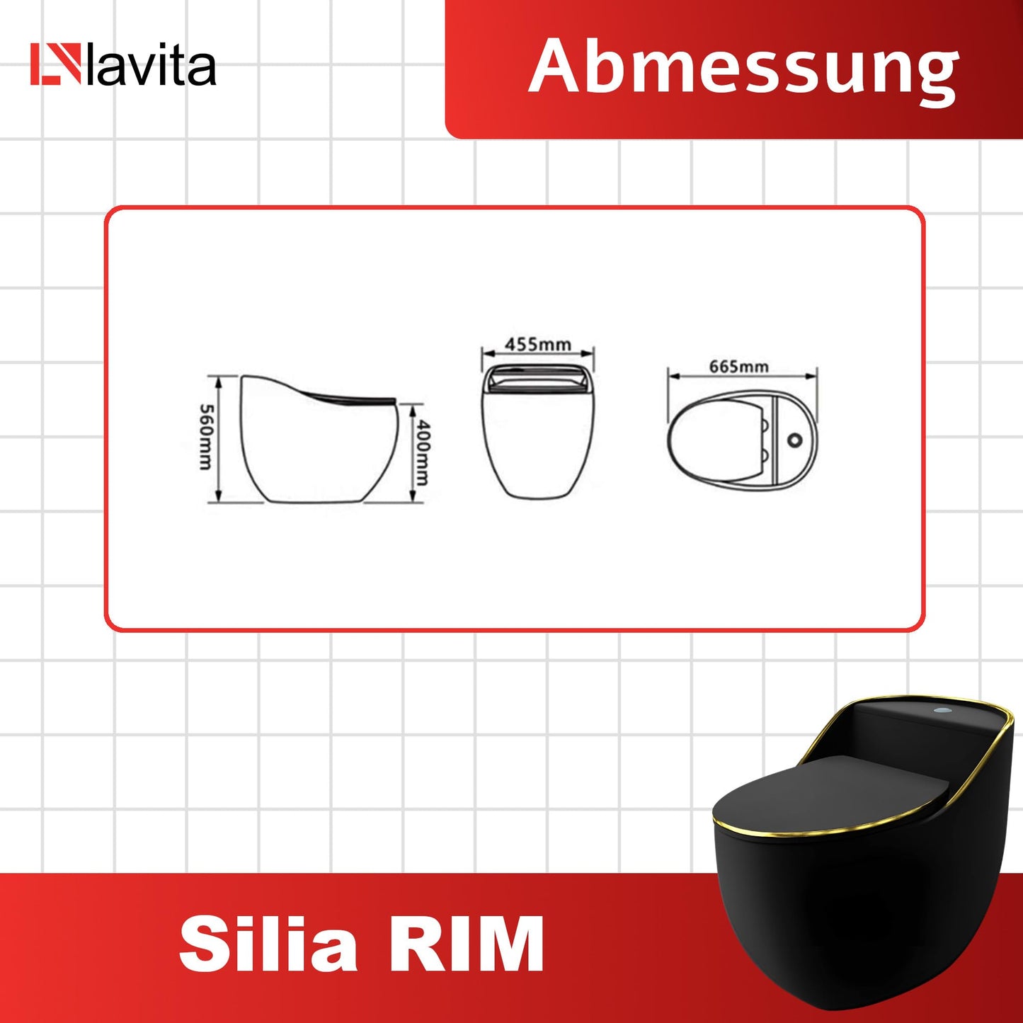 LAVITA Einteilige Stand-WC Mit Eingebautem Spülkasten SILIA RIM BLACK/GOLD LINE | Deckel Mit Absenkautomatik | Keramik Toilette Spülrandlos | Toilettenbecken Stehend + Anschlussstück