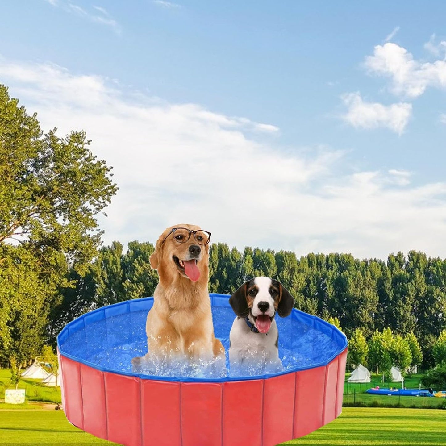 Dog Pool, Dog Pool for Small Dogs, Foldable Dog Pool, 60 x 20 cm Dog Paddling Pool, Paddling Pool for Pets, PVC Dog Pool, Cat Pool, Dog Sprinkler Pad, with Non-Slip Base Drain Valve