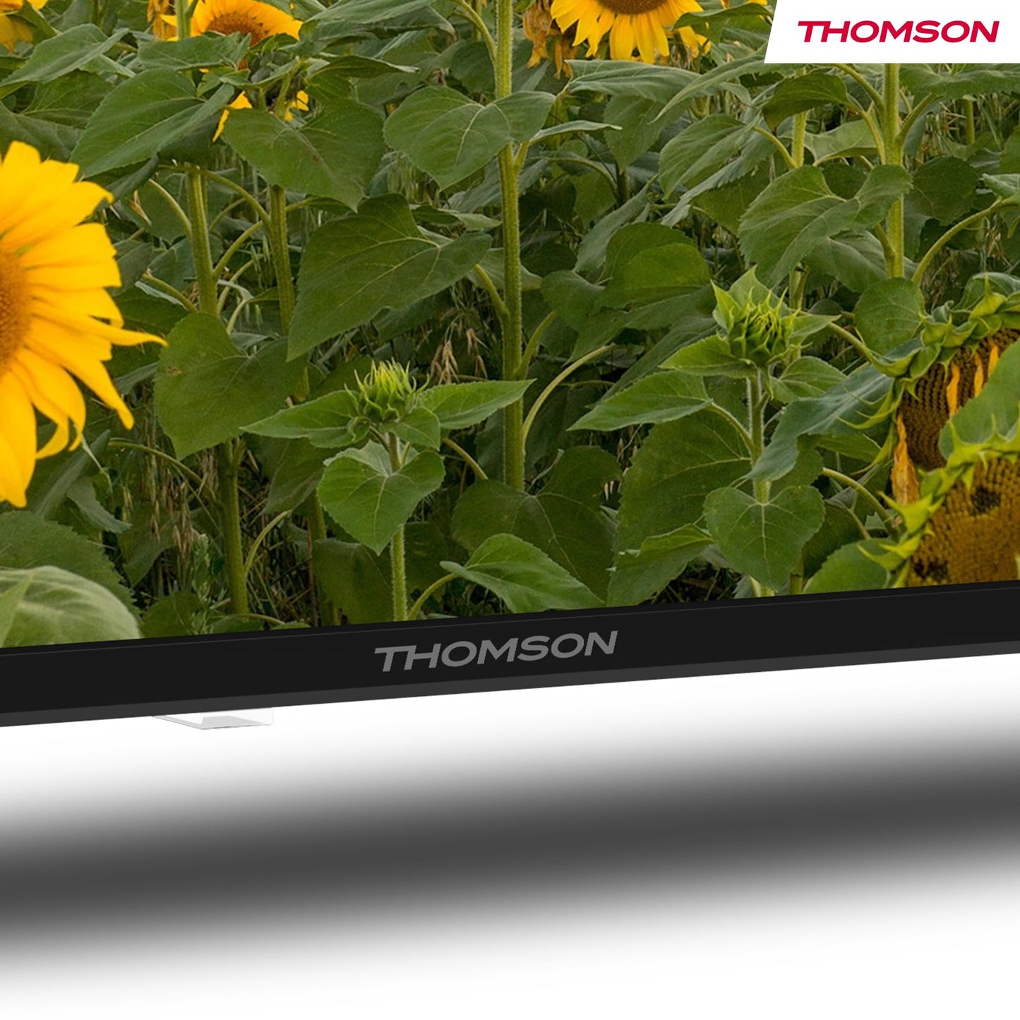 Thomson 43 Zoll (109 cm) 4K Ultra HD Weiß Smart Android TV, Google Assistant, Wi-Fi, Dolby Digital, Bluetooth, Triple-Tuner (Kabel,Satellit,Antenne), HDMI, CI+, A+ Panel – 43UA5S13W