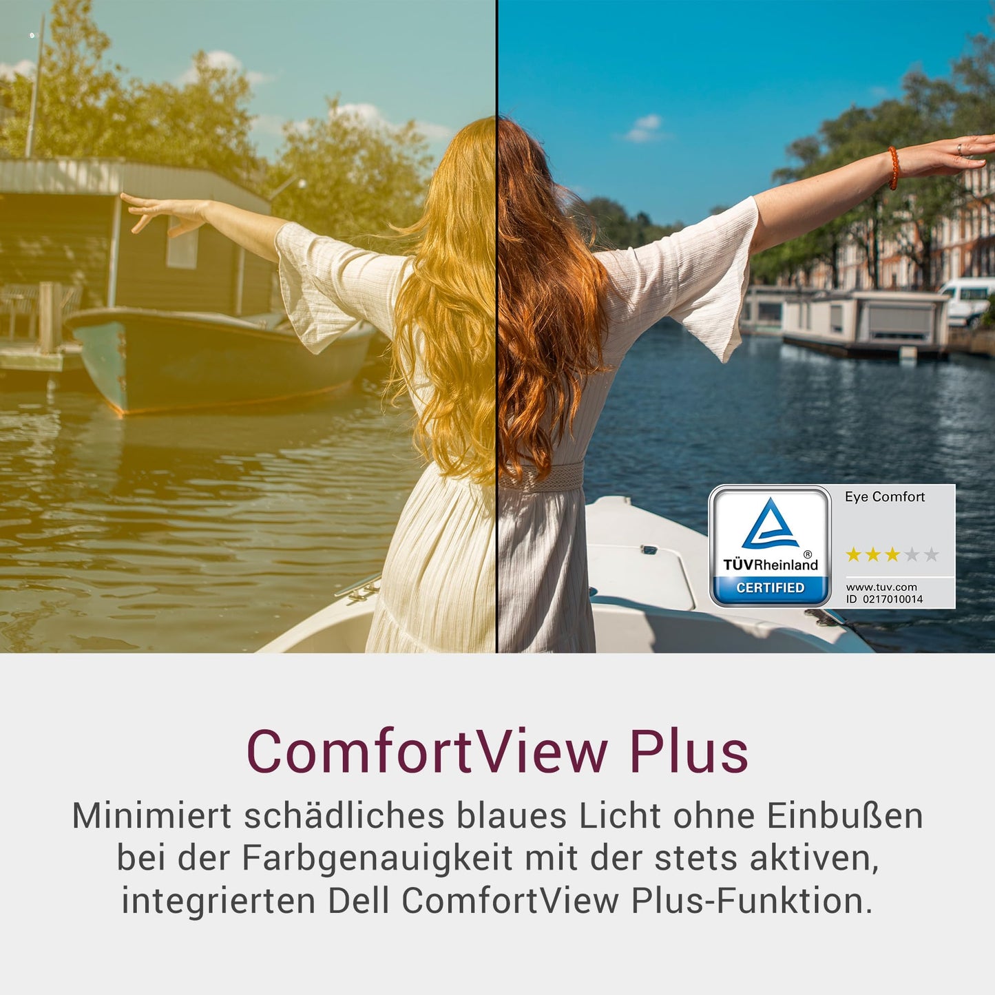 Dell 22 Monitor - SE2225HM, Full HD (1920 x 1080), 100Hz, VA, 5ms, VESA (100 x 100 mm), HDMI, VGA, Black