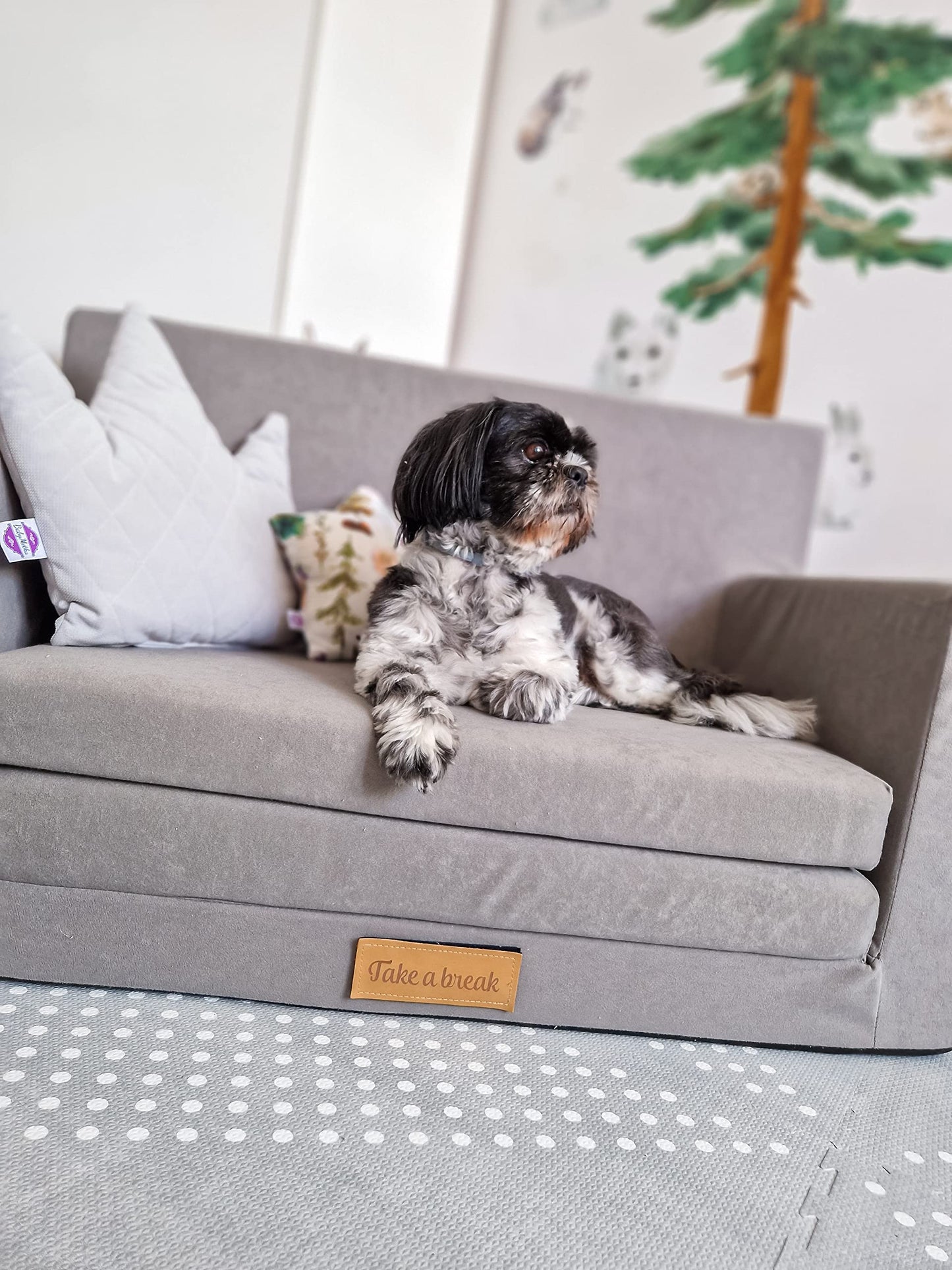 Flumi Personalised Children's/Teenager's Couch/Armchair/Sofa Bed, with Engraving of Child's Name, Play Sofa, Sleeping Chair, Bed Function, Children's Furniture, 92 x 40 x 60 cm, Microfibre (Grey)