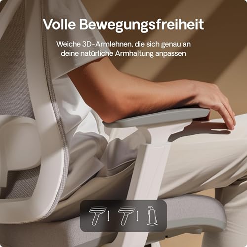 Desktronic SitPro Adjustable Ergonomic Office Chair, Desk Chair with Lumbar Support, Back-Friendly, Computer Chair, Height Adjustable & Back-Friendly, Wide Padding (Grey)