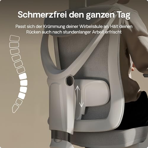 Desktronic SitPro Adjustable Ergonomic Office Chair, Desk Chair with Lumbar Support, Back-Friendly, Computer Chair, Height Adjustable & Back-Friendly, Wide Padding (Grey)