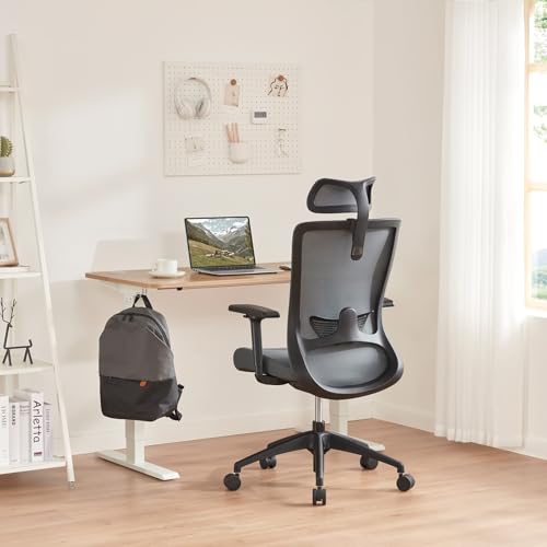 Amazon Basics Ergonomic Office Chair, Desk Chair with Adjustable Armrests, Lumbar Support, Mesh Executive Chair, Back Friendly, Easy Assembly, 25 x 23 x 36 Inch, Black