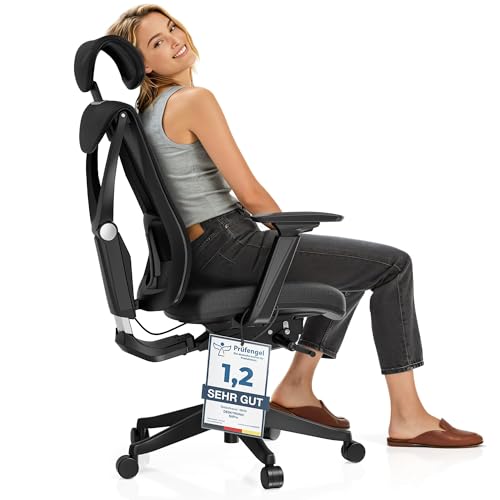 Desktronic SitPro Adjustable Ergonomic Office Chair, Desk Chair with Lumbar Support, Back-Friendly, Computer Chair, Height Adjustable & Back-Friendly, Wide Padding (Grey)