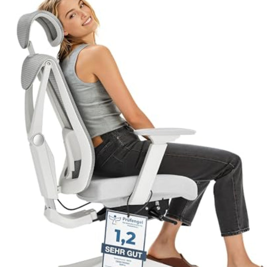 Desktronic SitPro Adjustable Ergonomic Office Chair, Desk Chair with Lumbar Support, Back-Friendly, Computer Chair, Height Adjustable & Back-Friendly, Wide Padding (Grey)