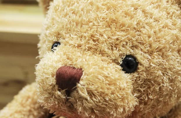 Teddy Bear Soft Fur Teddy Bear with Hood Paw Print Plush Toy Cuddly Toy Stuffed Toy Gift (Red, 30 cm)