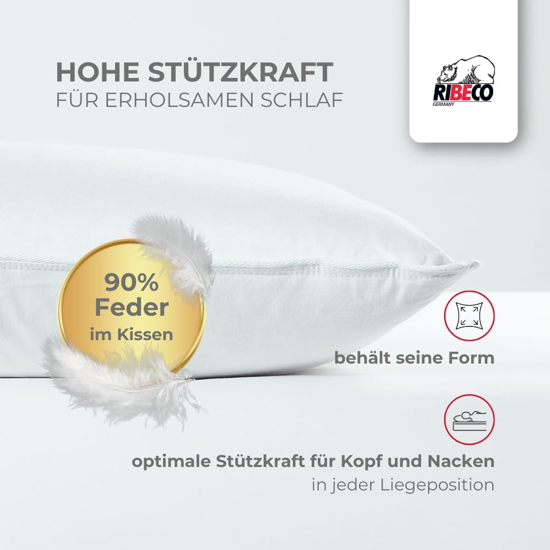 Johanna Down Duvet 135 x 200 cm & Pillow 40 x 80 cm Set of 2 - Down Duvet & Pillow Made of Feathers & Down, Allergy Friendly, Made in Germany, Warmth Class: Light