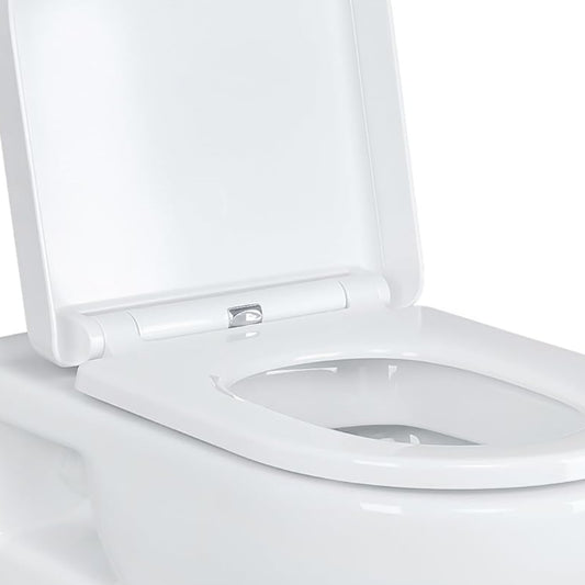 Aloni Wall-Mounted Toilet Toilet Soft Close Lid Frame Element Actuator Plate