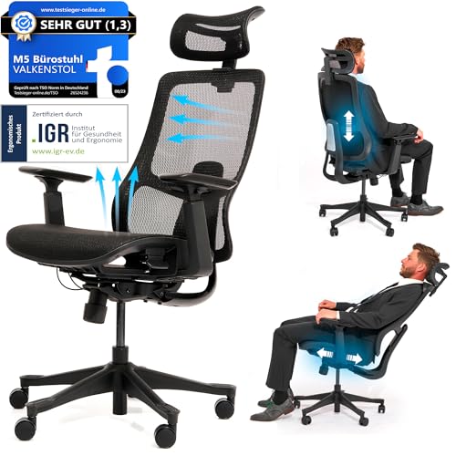 M2 Ergonomic Office Chair, Test Winner with Adjustable Armrest without Headrest for Maximum Freedom of Movement, Back-Friendly, Comfortable Desk Chair for Office and Home Office Chair