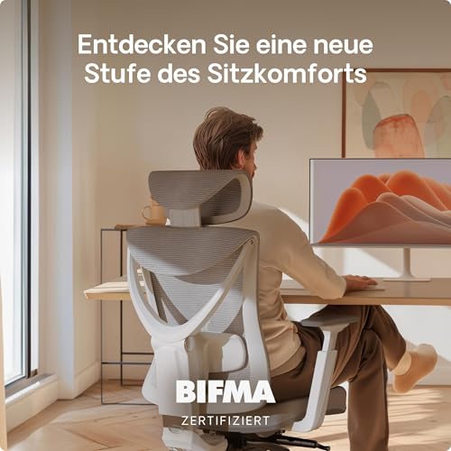 Desktronic SitPro Adjustable Ergonomic Office Chair, Desk Chair with Lumbar Support, Back-Friendly, Computer Chair, Height Adjustable & Back-Friendly, Wide Padding (Grey)