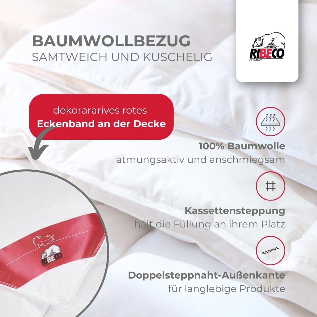 Johanna Down Duvet 135 x 200 cm & Pillow 40 x 80 cm Set of 2 - Down Duvet & Pillow Made of Feathers & Down, Allergy Friendly, Made in Germany, Warmth Class: Light