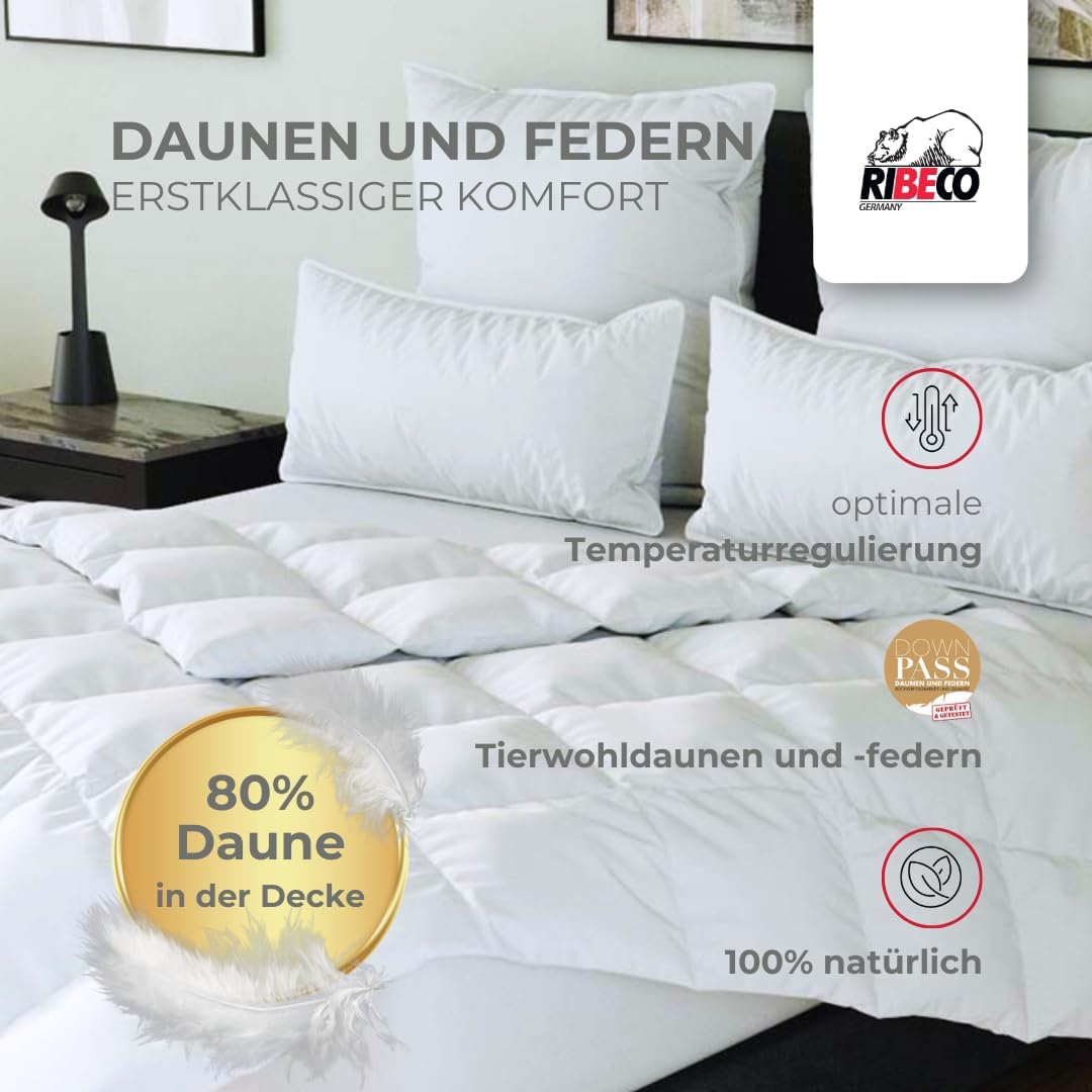Johanna Down Duvet 135 x 200 cm & Pillow 40 x 80 cm Set of 2 - Down Duvet & Pillow Made of Feathers & Down, Allergy Friendly, Made in Germany, Warmth Class: Light