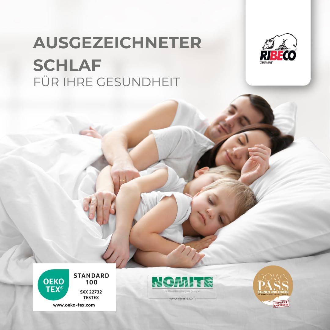 Johanna Down Duvet 135 x 200 cm & Pillow 40 x 80 cm Set of 2 - Down Duvet & Pillow Made of Feathers & Down, Allergy Friendly, Made in Germany, Warmth Class: Light