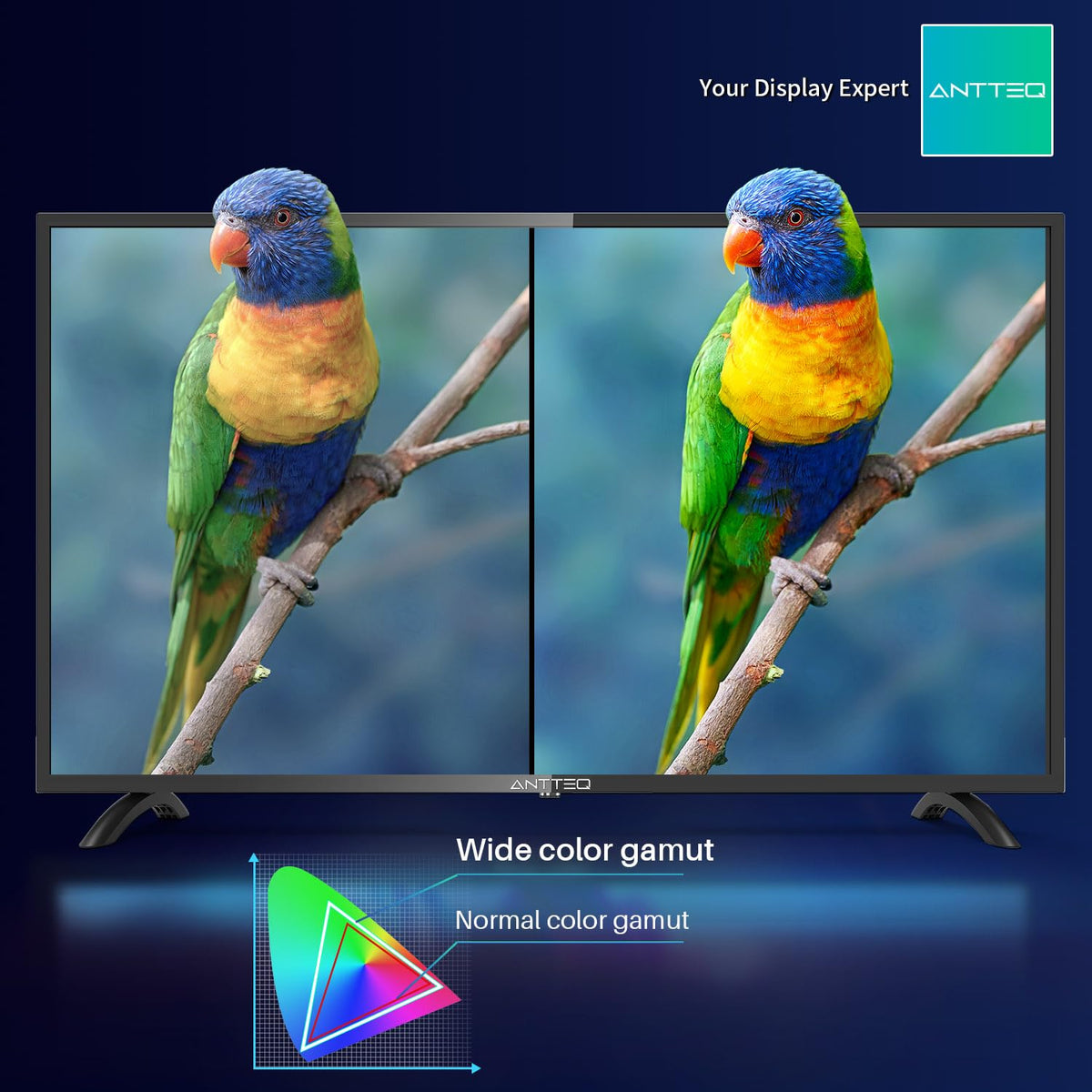 AB50D1 Fernseher 50 Zoll (TV 127 cm), Dolby Audio, LED, Triple Tuner DVB-C / T2 / S2, CI+, HDMI, Mediaplayer per USB, digitaler Audioausgang, incl. Hotelmodus