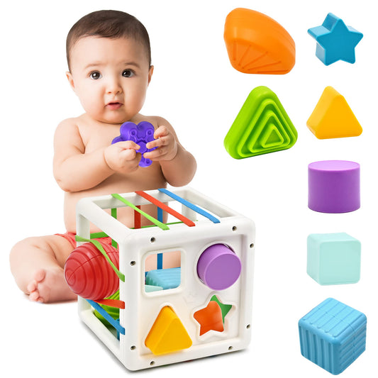 Montessori Baby Toy from 1 Year, Motor Skills Toy, Fine Motor Skills, Preschool Learning Gift, 9 Pieces, Colourful Shape Sorter for Toddlers, Girls, Boys, 1, 2, 3 Years Old