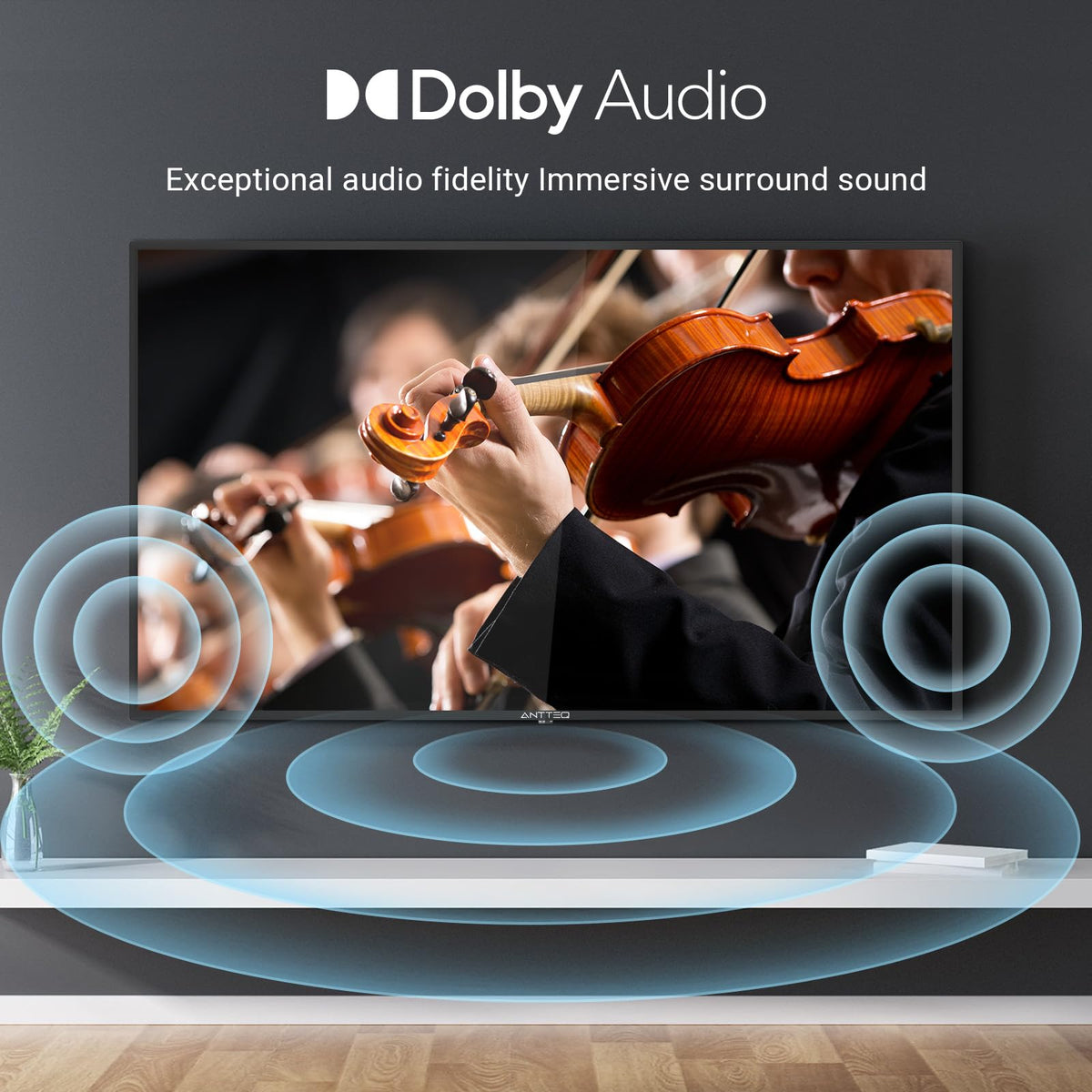 AB50D1 Fernseher 50 Zoll (TV 127 cm), Dolby Audio, LED, Triple Tuner DVB-C / T2 / S2, CI+, HDMI, Mediaplayer per USB, digitaler Audioausgang, incl. Hotelmodus