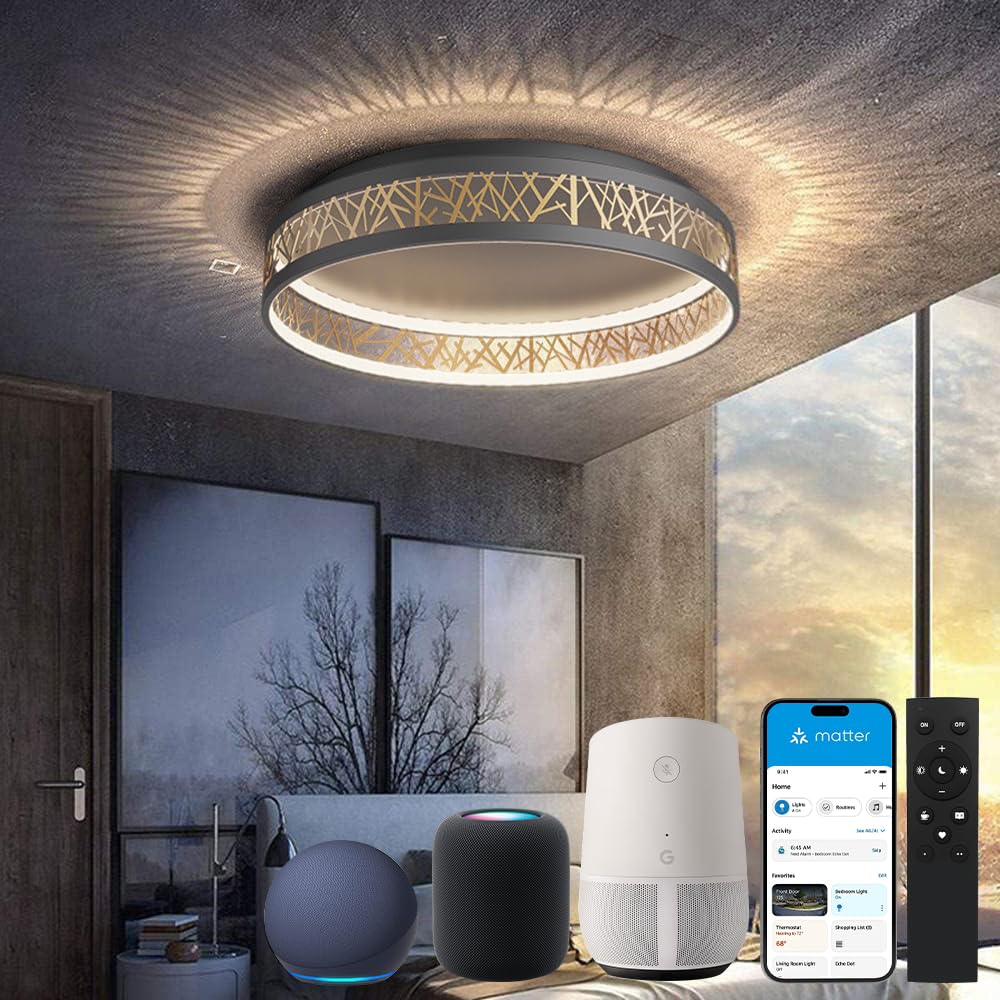 LED Ceiling Light with Remote Control, Dimmable Bedroom Lamp with Matte Compatible with HomeKit, Alexa, Google and IFTTT, Round, Black Gold, Hollow Design, Living Room, Diameter 50 x Height 12 cm