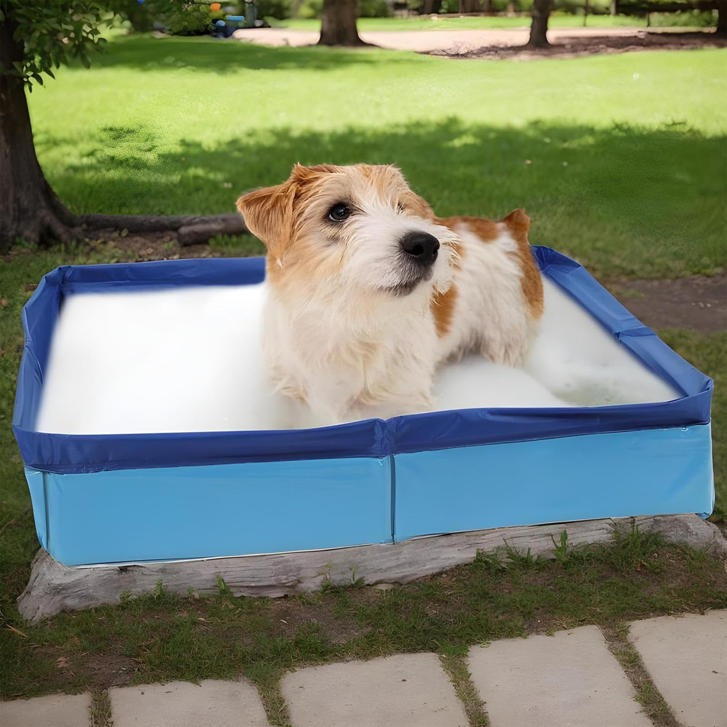 Hundepool, Planschbecken Faltbare für Hunde & Katzen, 50x50x10 cm Eckig Katzenpool, Hundebadewanne, Planschbecken ohne Aufblasen für Haustiere, Klappbar Schwimmbecken für Kleine Hunde & Katzen (A)