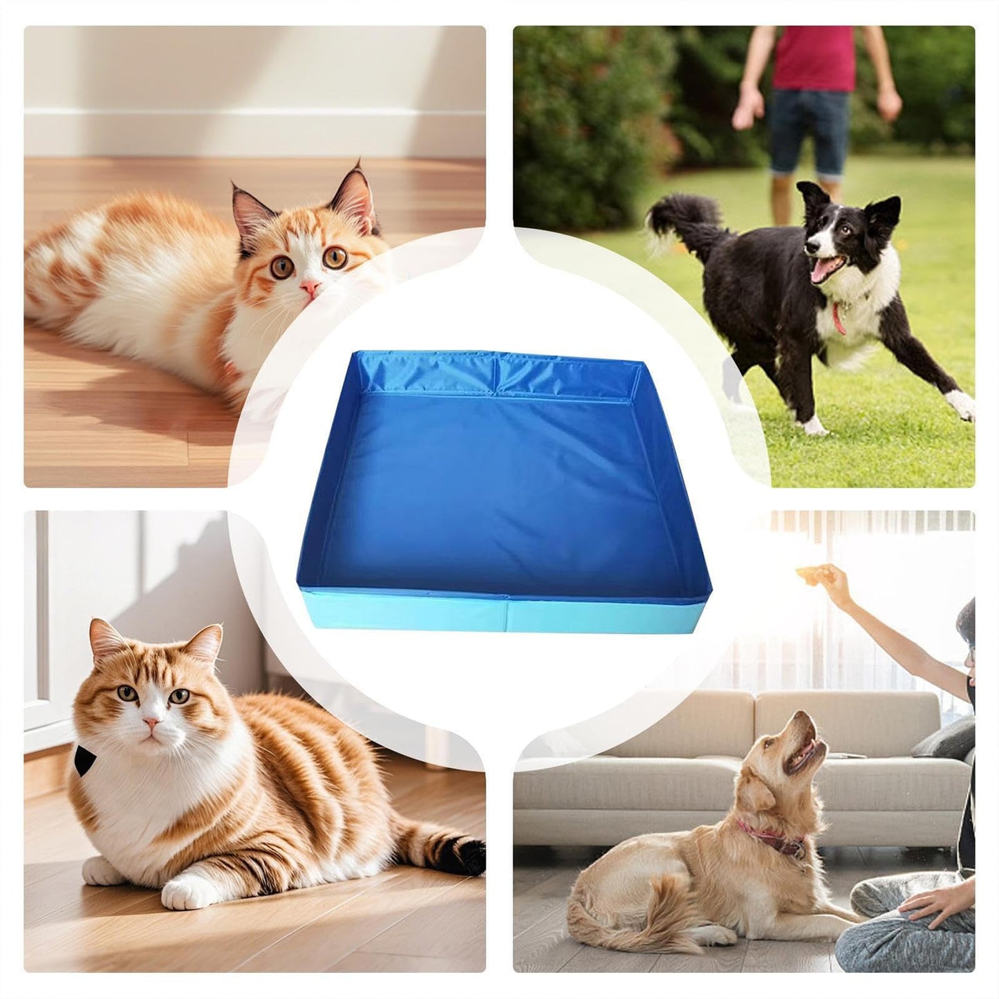 Hundepool, Planschbecken Faltbare für Hunde & Katzen, 50x50x10 cm Eckig Katzenpool, Hundebadewanne, Planschbecken ohne Aufblasen für Haustiere, Klappbar Schwimmbecken für Kleine Hunde & Katzen (A)