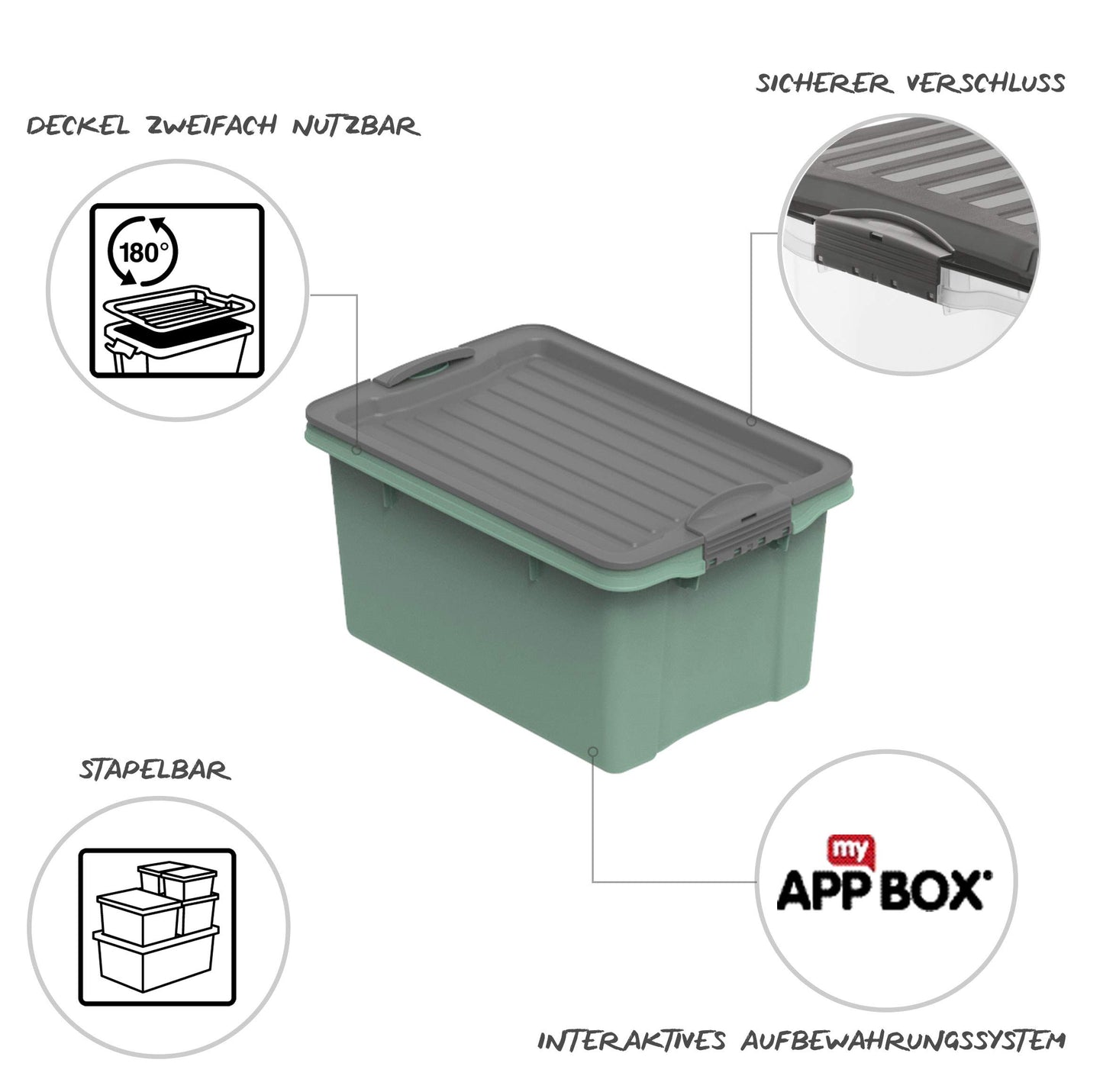 Rotho Compact Storage Box 70 L with Lid and Wheels, Plastic (PP Recycled), BPA-Free, Cappuccino/Anthracite, A3/70 L (57.0 x 39.5 x 43.5 cm)