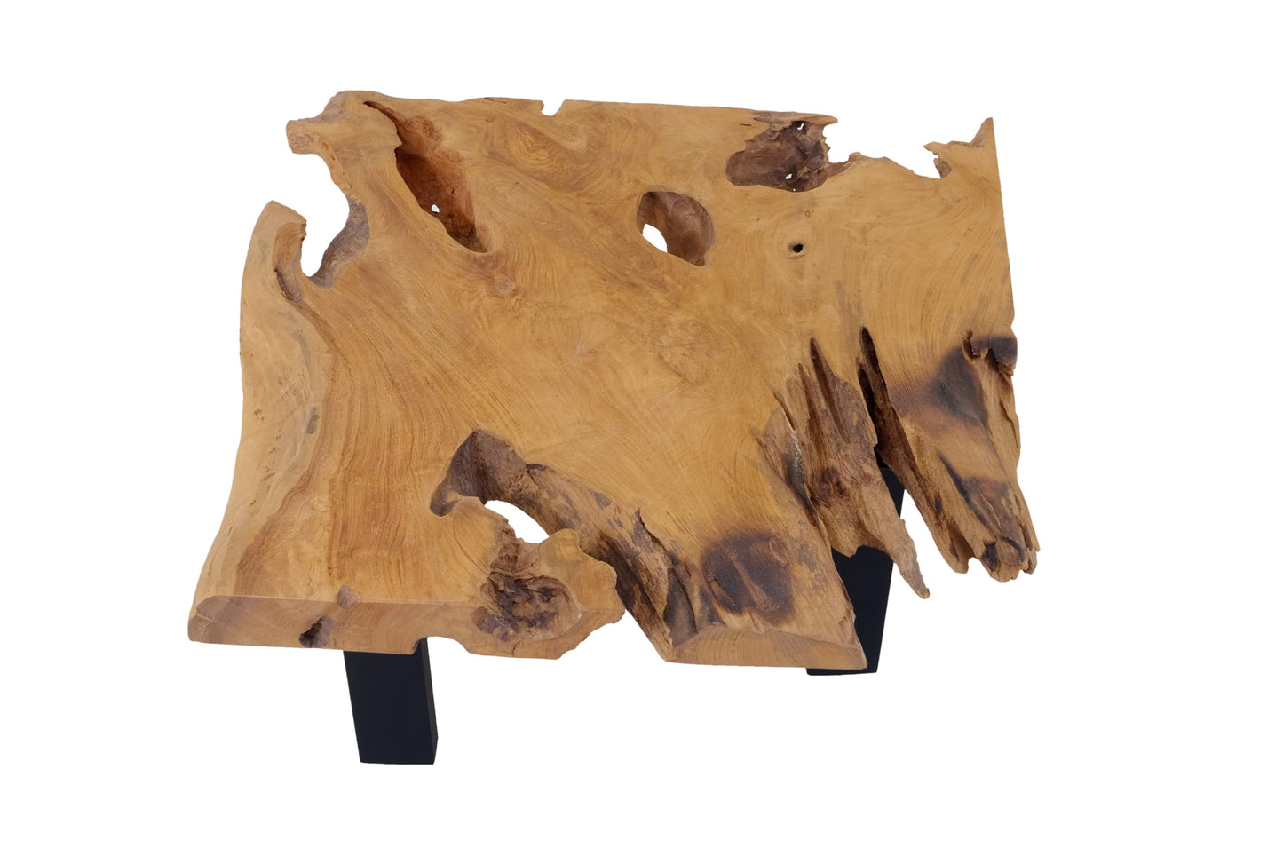 SAM Ibiza Coffee Table, Side Table Made of Root Wood, Solid Teak Wood + Natural, Sofa Table with Metal Legs, Black, 110 x 60 x 40 cm