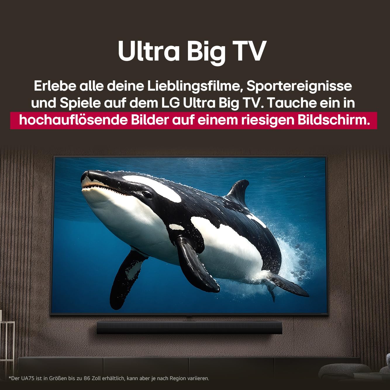 LG 65NANO81T6A TV 65 Inch (165 cm) NanoCell TV (α5 Gen7 4K AI Processor, webOS 24, HDR10, up to 60Hz) [Model Year 2024]