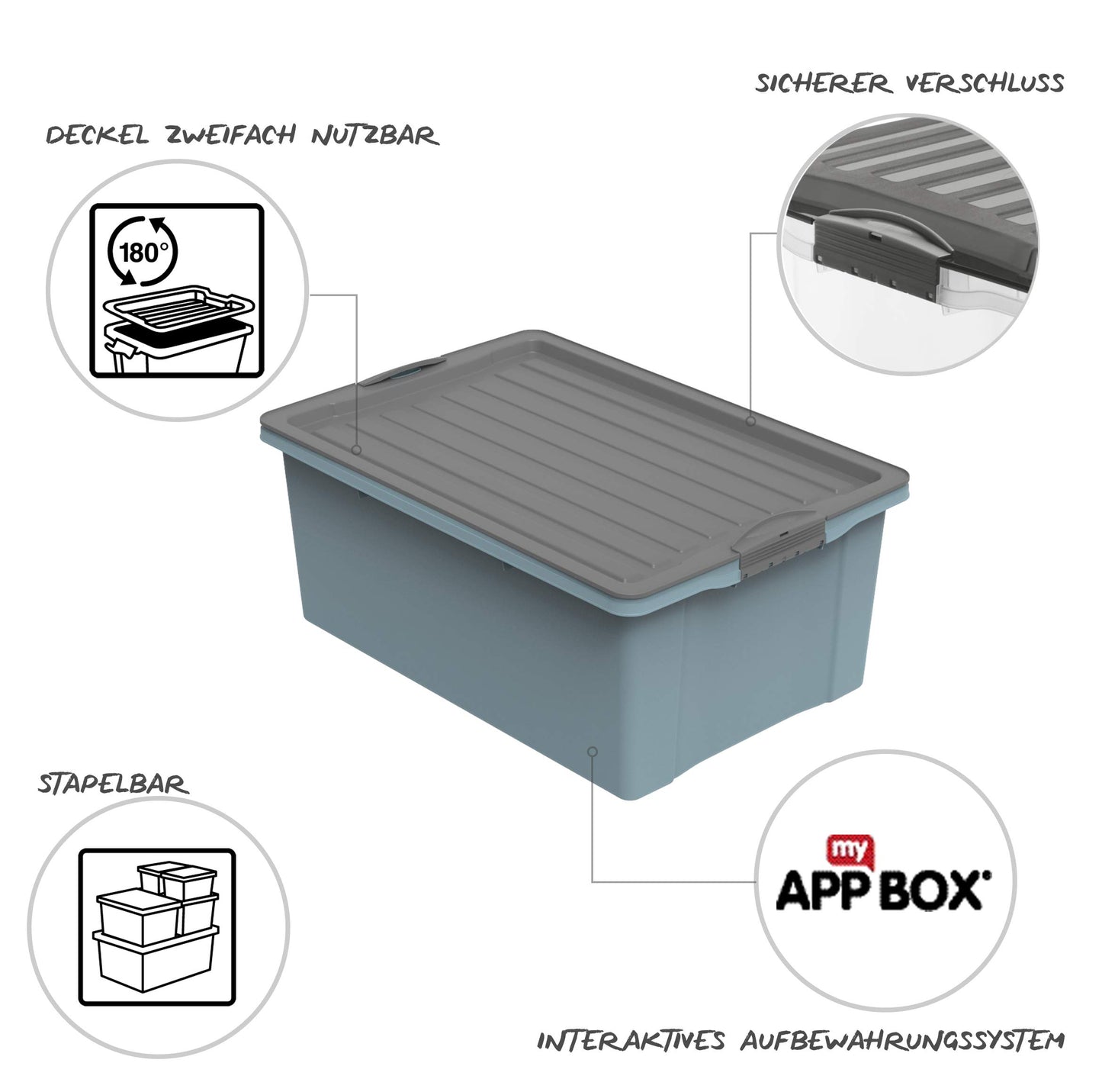 Rotho Compact Storage Box 70 L with Lid and Wheels, Plastic (PP Recycled), BPA-Free, Cappuccino/Anthracite, A3/70 L (57.0 x 39.5 x 43.5 cm)