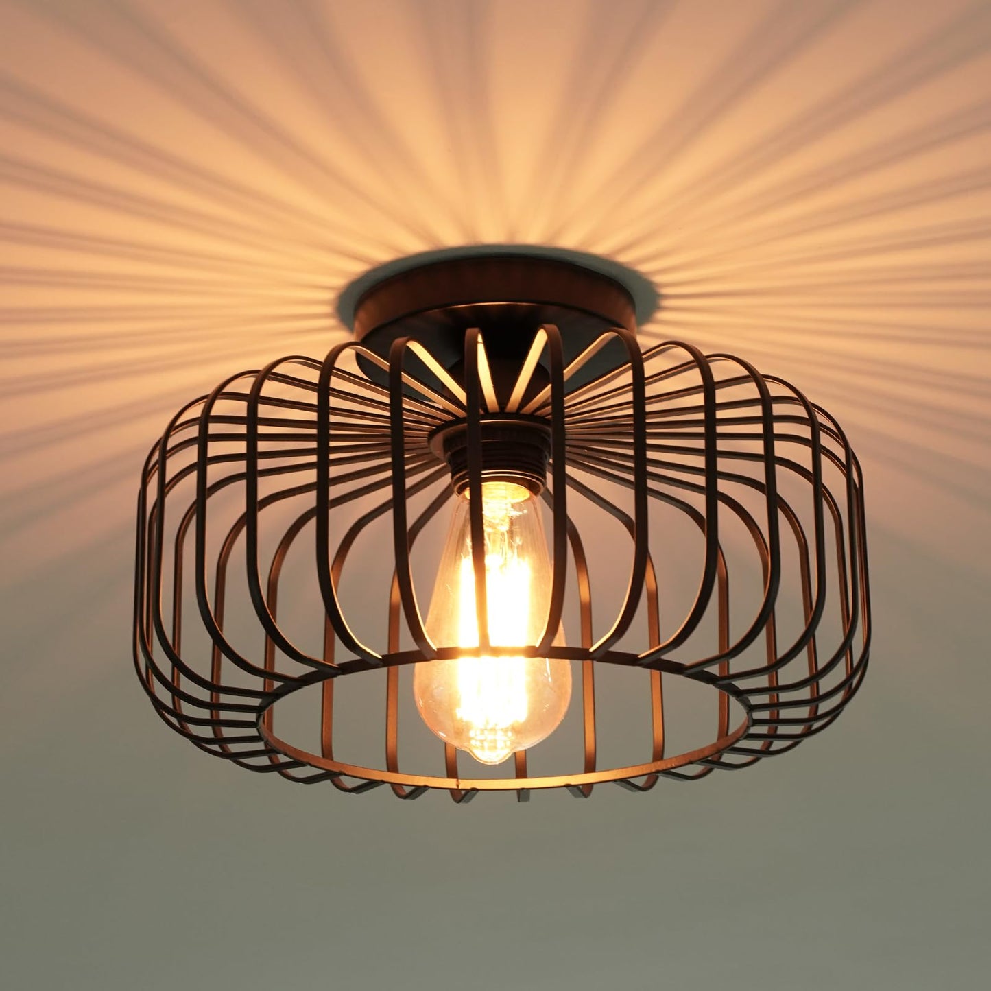 FRIDEKO HOME Deckenleuchte Schwarz,Modern Deckenlampe aus Metall E27-Fassung,1 Flammige Runde Lampenschirm Hängelampe für Küche Flur Wohnzimmer Schlafzimmer Esszimmer