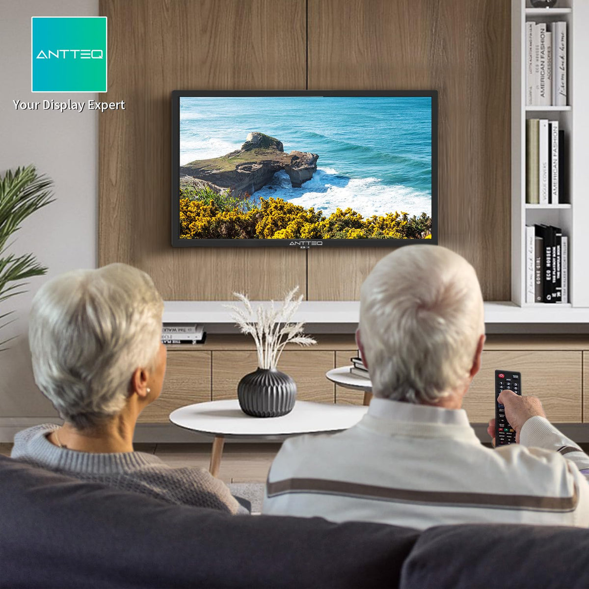 AB50D1 Fernseher 50 Zoll (TV 127 cm), Dolby Audio, LED, Triple Tuner DVB-C / T2 / S2, CI+, HDMI, Mediaplayer per USB, digitaler Audioausgang, incl. Hotelmodus