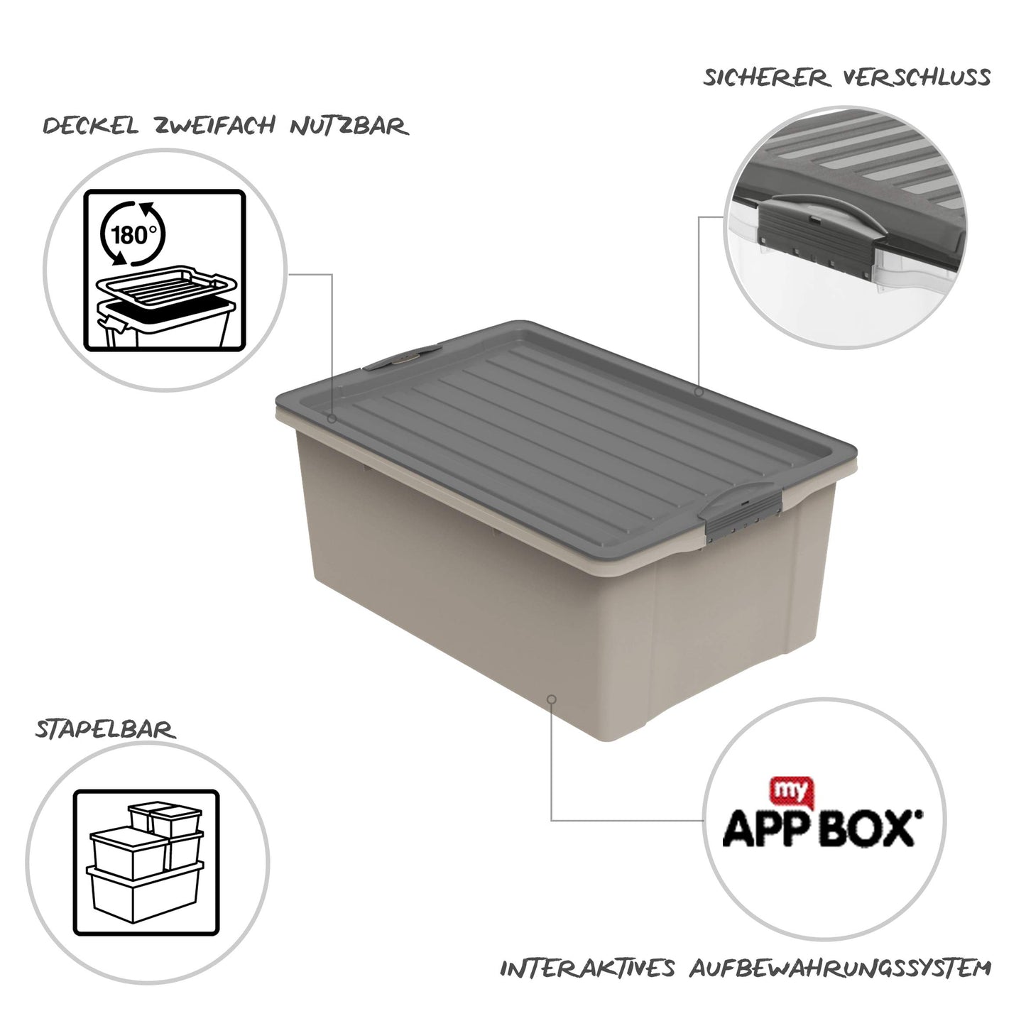 Rotho Compact Storage Box 70 L with Lid and Wheels, Plastic (PP Recycled), BPA-Free, Cappuccino/Anthracite, A3/70 L (57.0 x 39.5 x 43.5 cm)