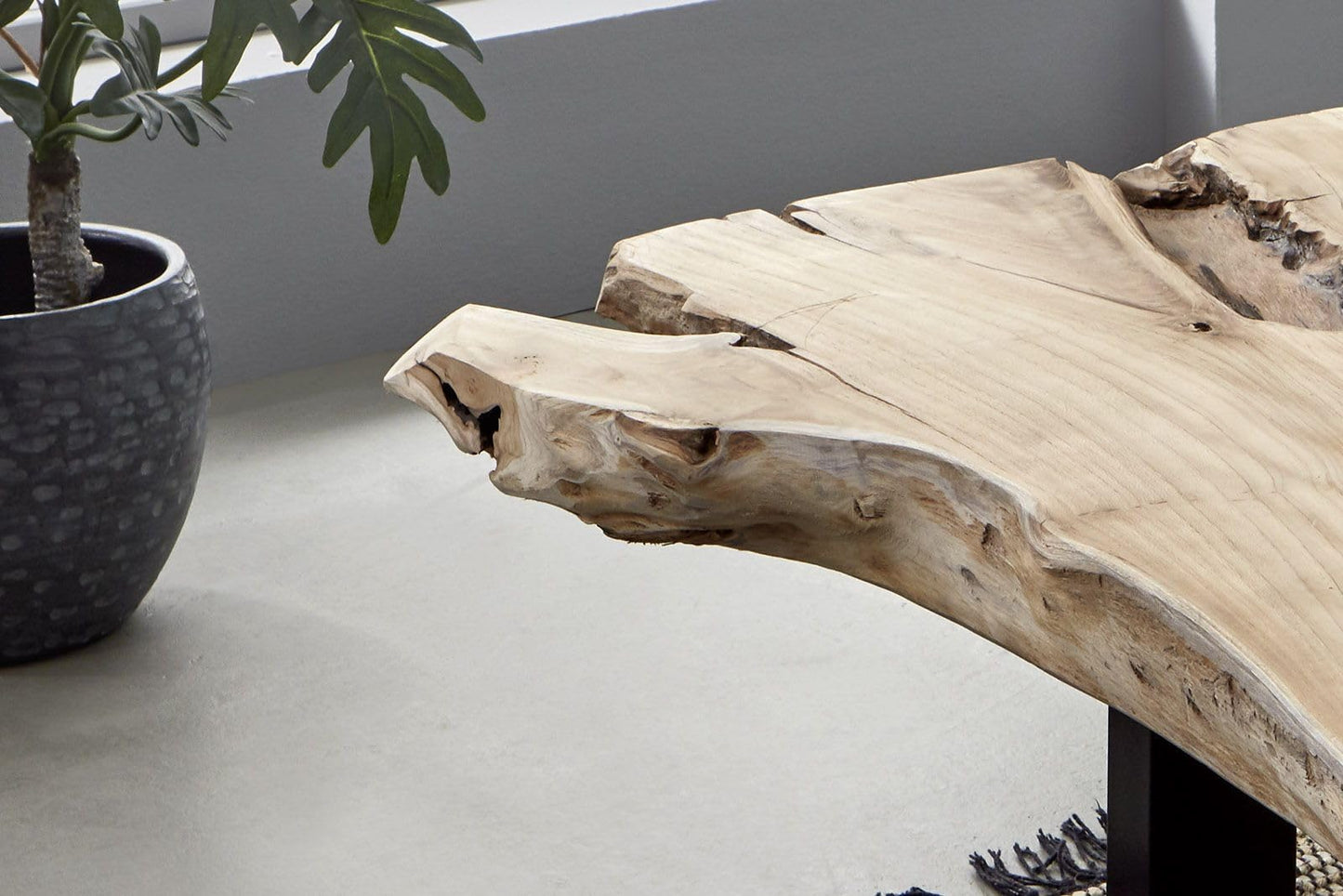 SAM Ibiza Coffee Table, Side Table Made of Root Wood, Solid Teak Wood + Natural, Sofa Table with Metal Legs, Black, 110 x 60 x 40 cm