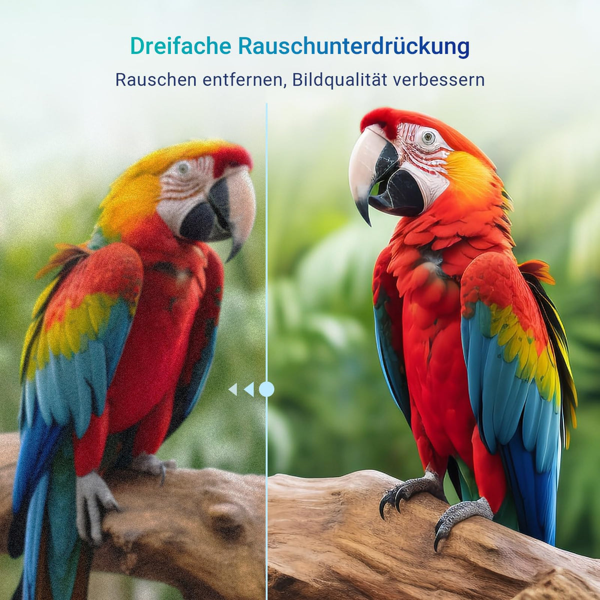 AB50D1 Fernseher 50 Zoll (TV 127 cm), Dolby Audio, LED, Triple Tuner DVB-C / T2 / S2, CI+, HDMI, Mediaplayer per USB, digitaler Audioausgang, incl. Hotelmodus