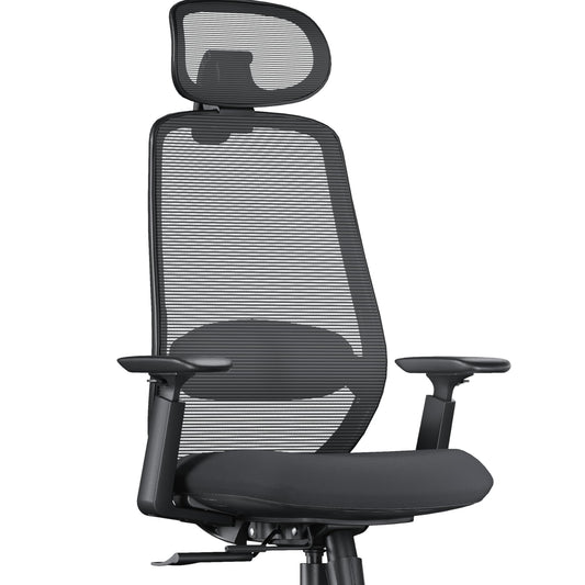ProtoArc EC200 Ergonomic Office Chair, Desk Chair with Height and Depth Adjustable Lumbar Support, Seat Depth, Height Adjustable, 3D Headrest, Computer Chair for Home Office Chair, Black