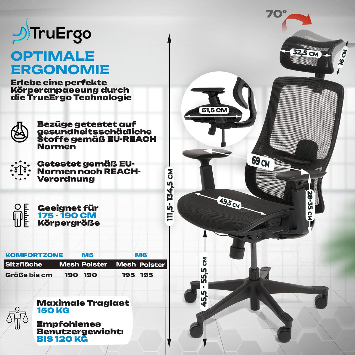 M2 Ergonomic Office Chair, Test Winner with Adjustable Armrest without Headrest for Maximum Freedom of Movement, Back-Friendly, Comfortable Desk Chair for Office and Home Office Chair