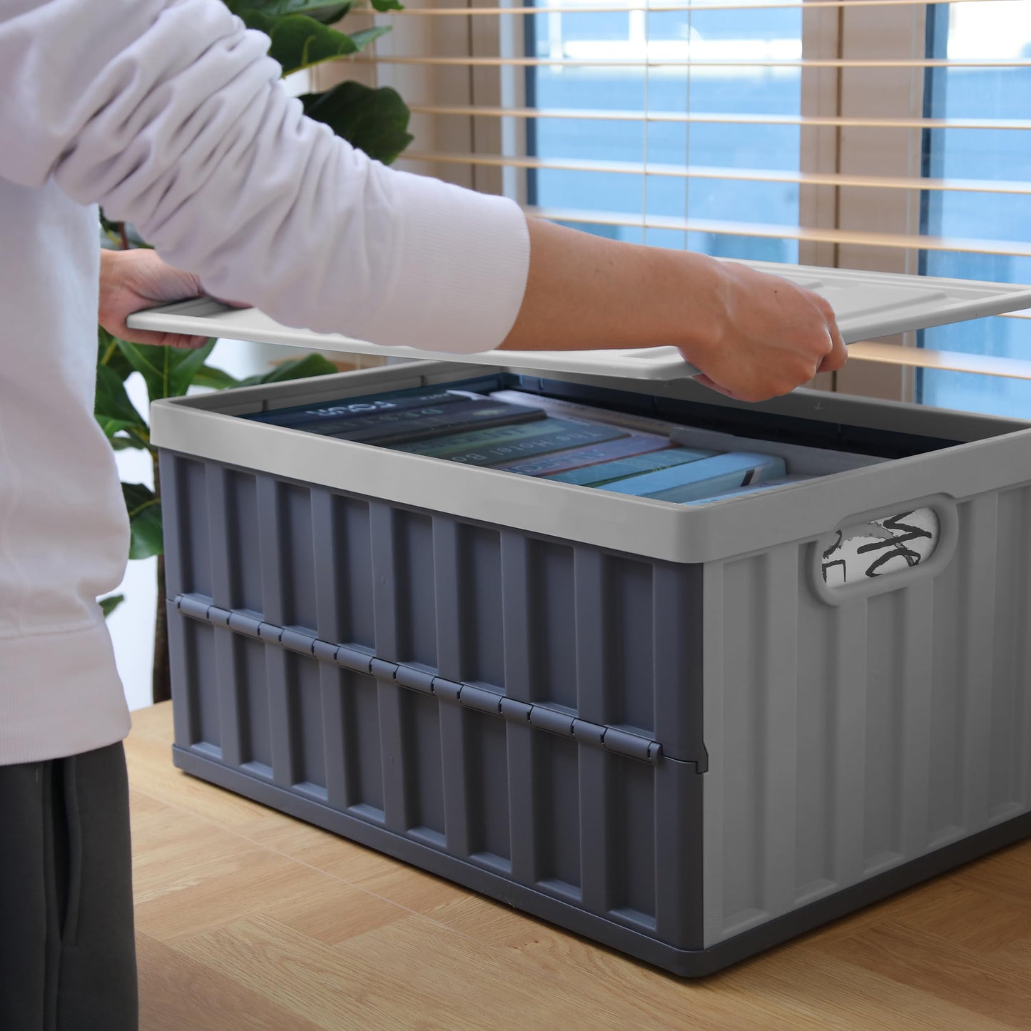 Citylife Set of 4 64 L Folding Box with Lid, Foldable Camping Box, Collapsible Storage Bins for Organising Large Heavy Outdoor, Bathroom, Kitchen, Office, Living Room (Grey)