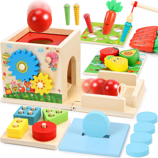 COOLJOY Montessori Toy from 1 Year | Wooden Toy Motor Skills Toy from 1 Year | 8-in-1 STEM Gift for Boys and Girls 2 3 4 Years