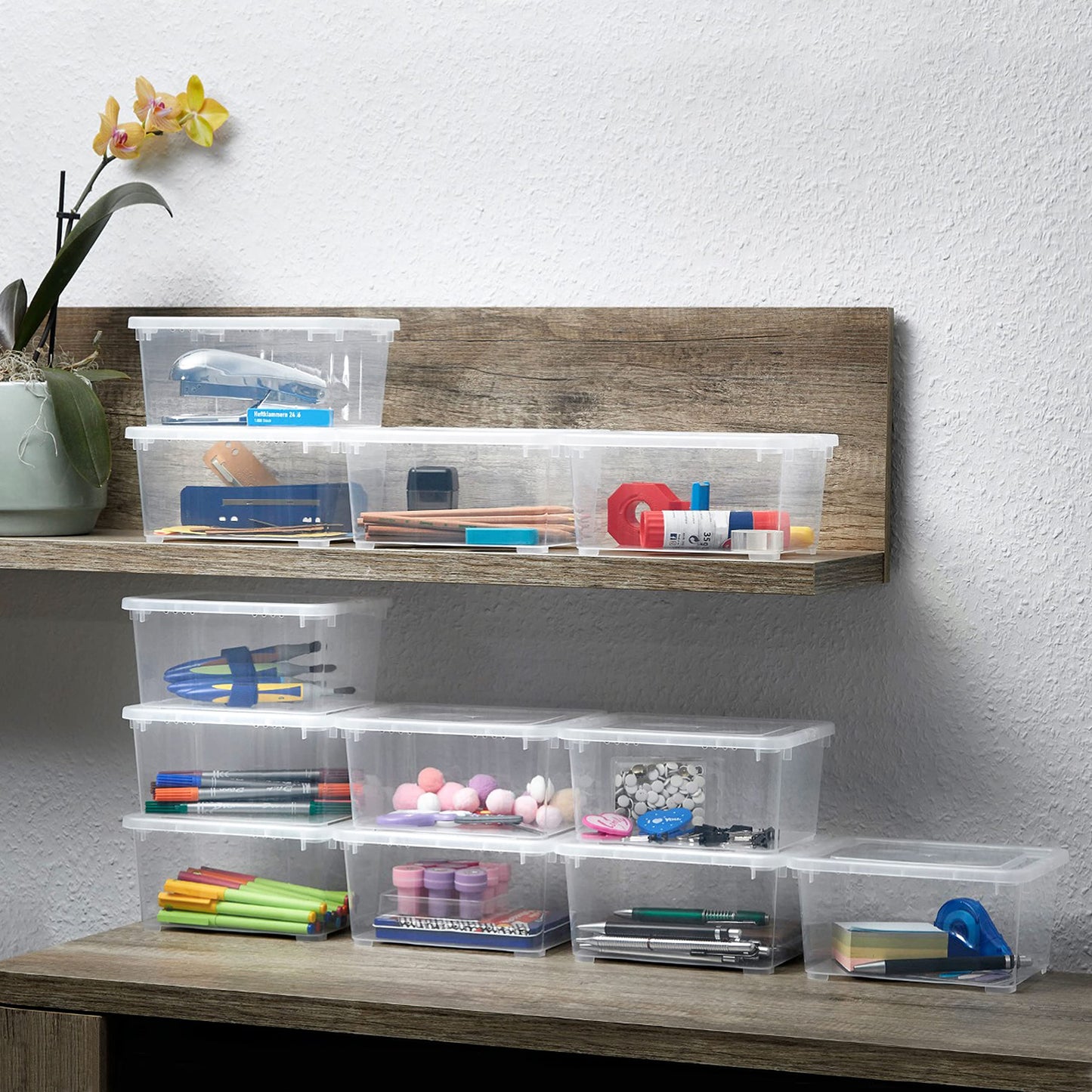 Grizzly Storage Boxes with Lid Transparent – Transparent Boxes, Stackable, with Ventilation, 5er Set, 10 l
